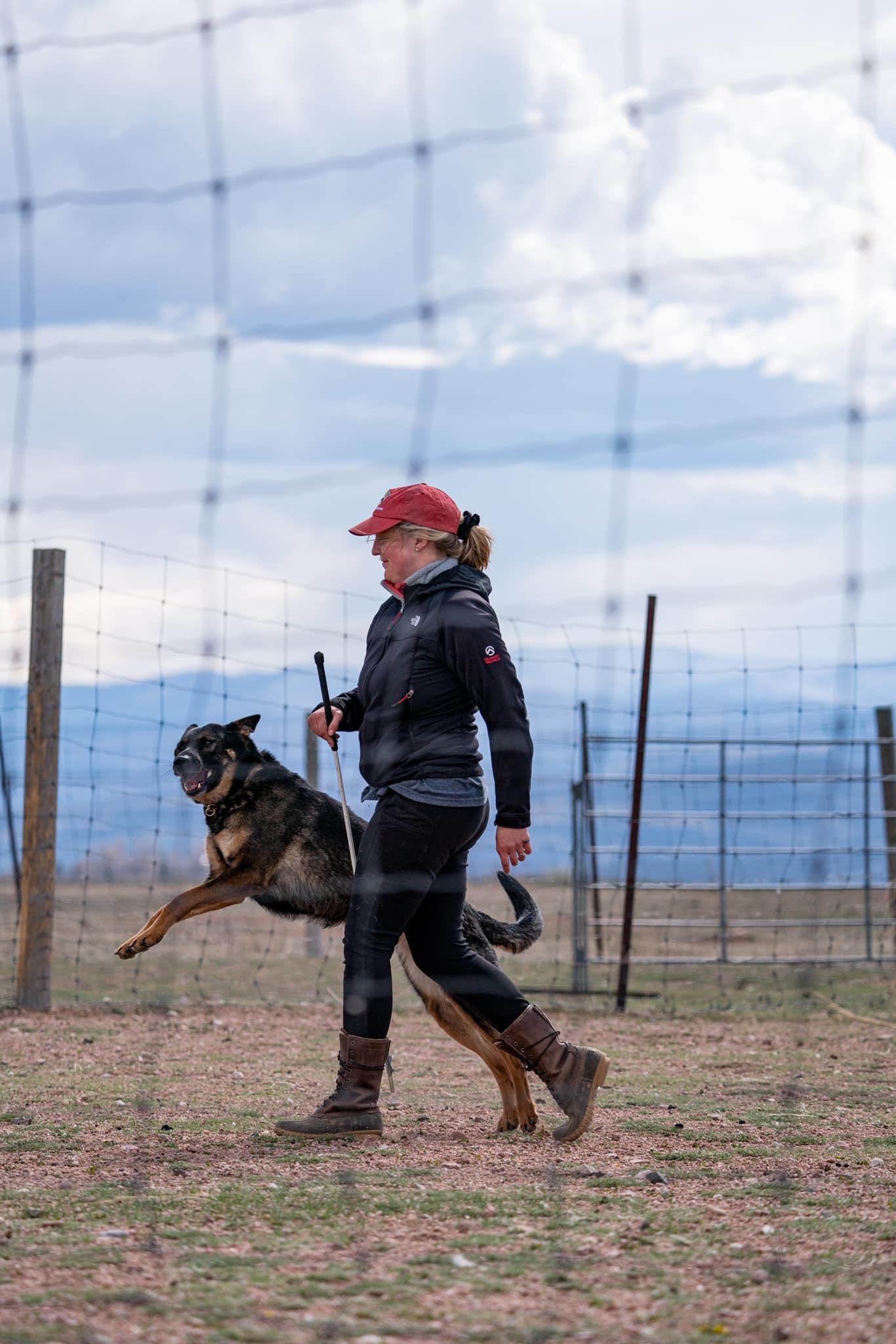 Herding team working at Rancho Terra Norté